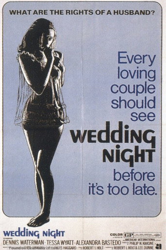 I Can't... I Can't... movie poster