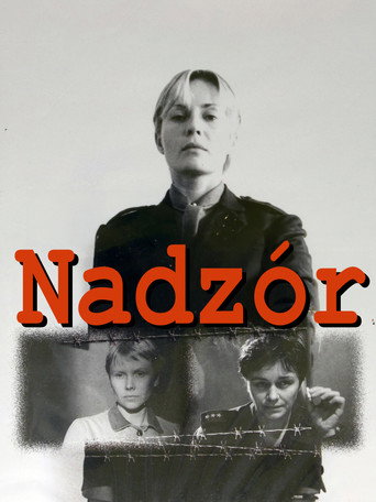 Custody movie poster
