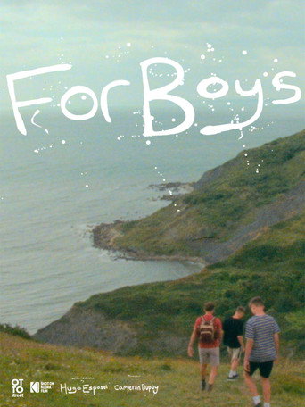 For Boys movie poster