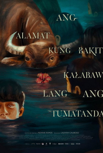 Gumamelas Are Still Red movie poster