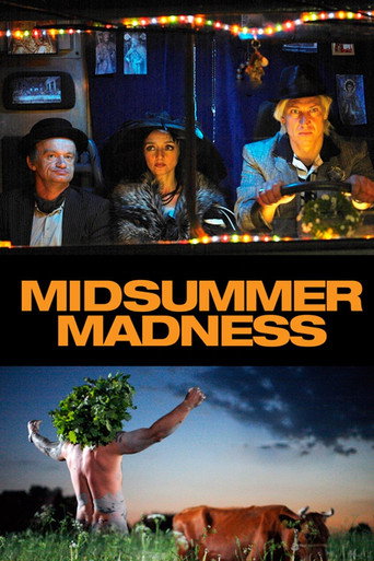 Midsummer Madness movie poster