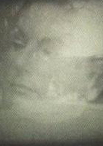 Yo veo conejos movie poster