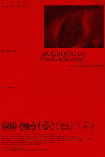 Accidentally Intentional movie poster