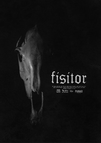 Fisitor movie poster