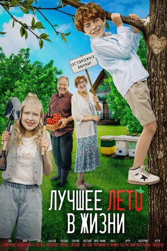 Лучшее лето в жизни movie poster
