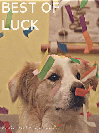 Best of Luck movie poster