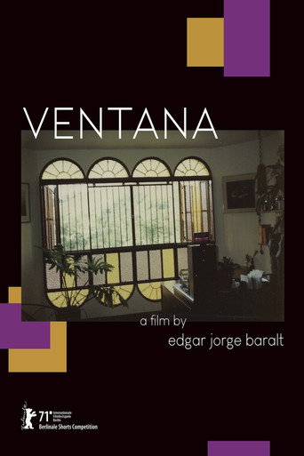 Window movie poster