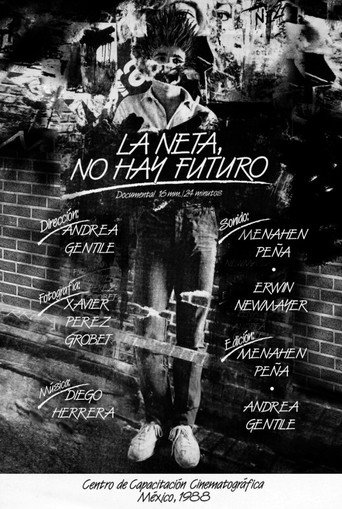 In Fact, There is not Future movie poster