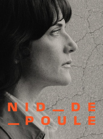 Potholes - Are our roads a public hazard? movie poster