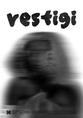 Vestigi movie poster