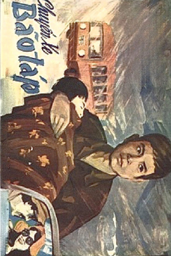 A Stormy Journey movie poster