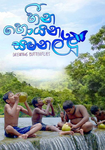Dreaming Butterflies movie poster