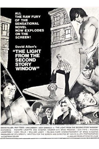 The Light from the Second Story Window movie poster