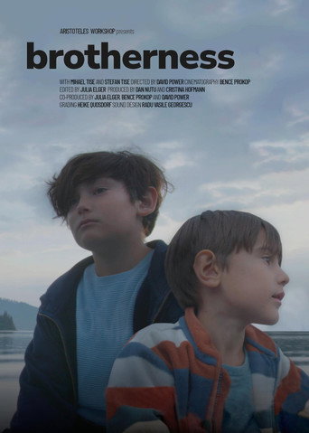 Brotherness movie poster