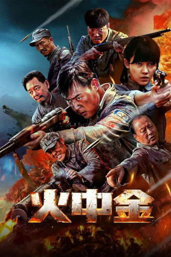 火中金 movie poster