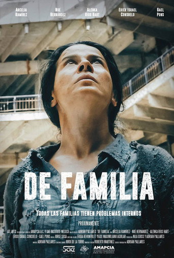 About Family movie poster