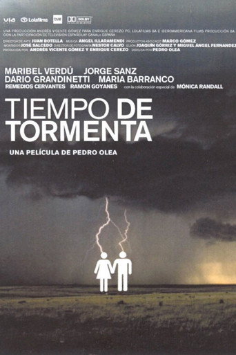 Stormy Weather movie poster