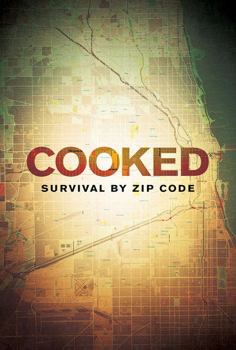 Cooked: Survival by Zip Code movie poster