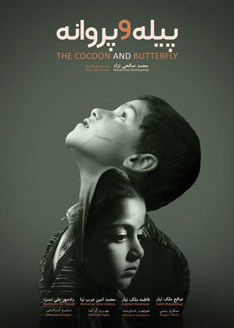 The Cocoon & Butterfly movie poster