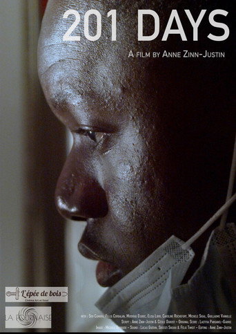 201 Days movie poster