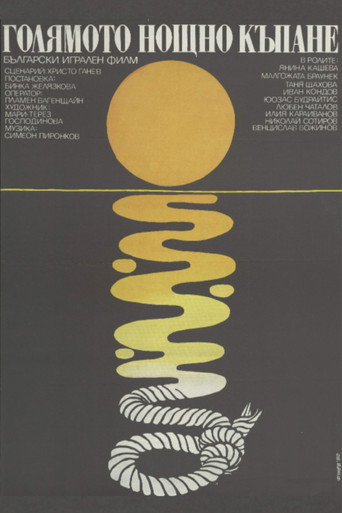 The Big Night Bathe movie poster