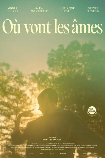 Where Souls Go movie poster