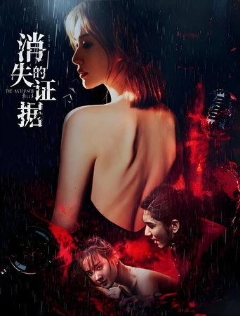 消失的证据 movie poster