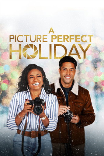 A Picture Perfect Holiday movie poster