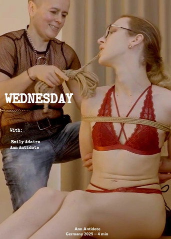 Wednesday movie poster