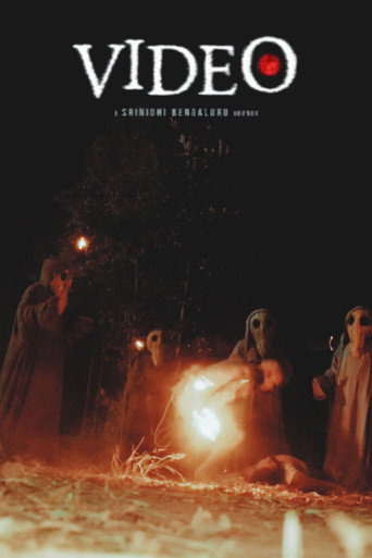 Video movie poster