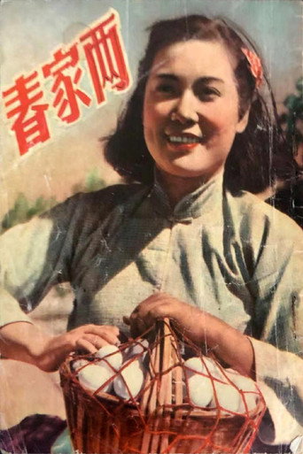 两家春 movie poster