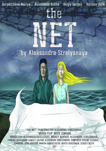 The Net movie poster