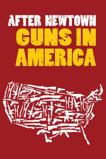 After Newtown: Guns in America movie poster