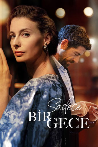 Only one night movie poster