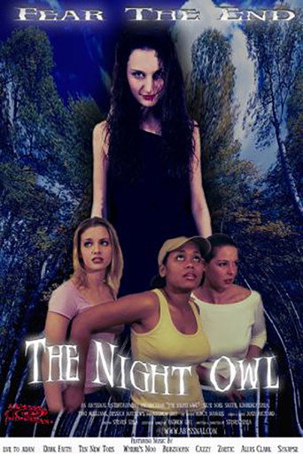 The Night Owl movie poster