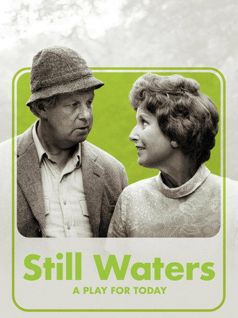 Still Waters movie poster