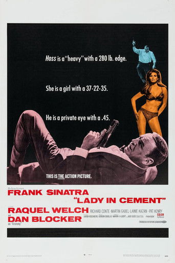 Lady in Cement movie poster