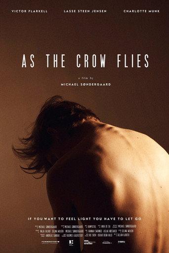 As the Crow Flies movie poster