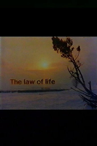 The Law of Life movie poster