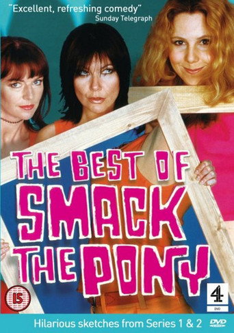 The Best of Smack the Pony movie poster