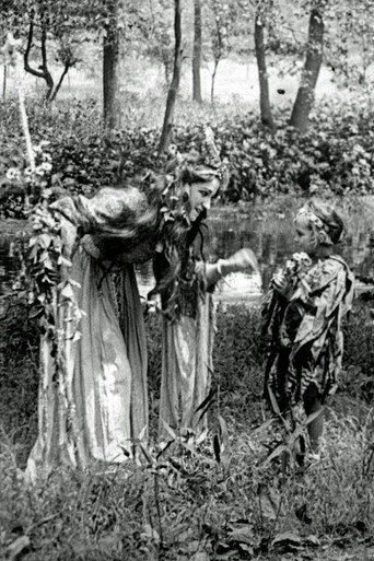 A Midsummer Night's Dream movie poster