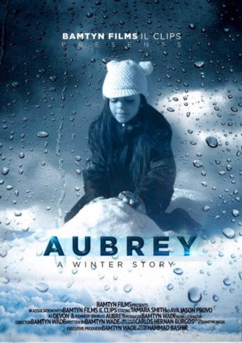 A Winter Story movie poster
