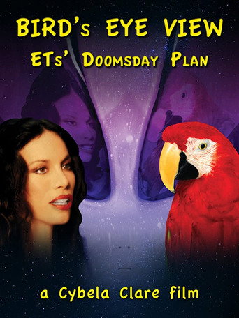 Bird's Eye View movie poster