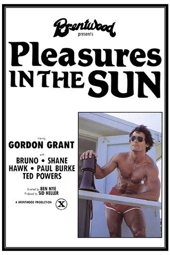 Pleasures in the Sun movie poster