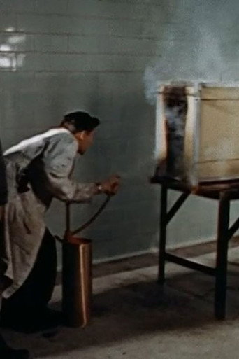 Setting Fires for Science movie poster