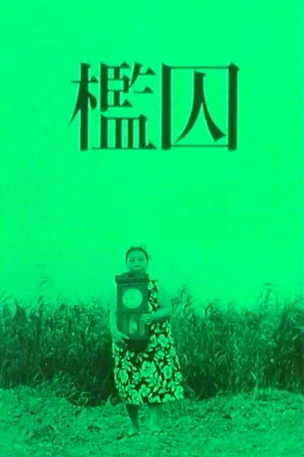 The Cage movie poster