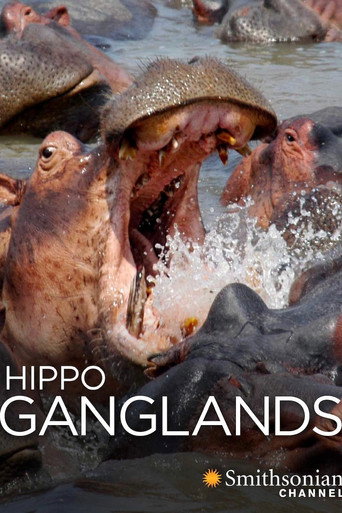 Hippo Ganglands movie poster