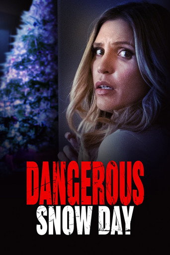 Dangerous Snow Day movie poster