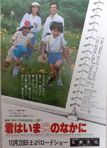 Fighting Against The Incurable Disease Aplastic Anemia – Now You Are In The Light movie poster