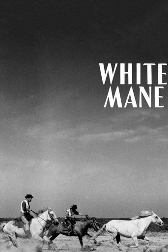 White Mane movie poster